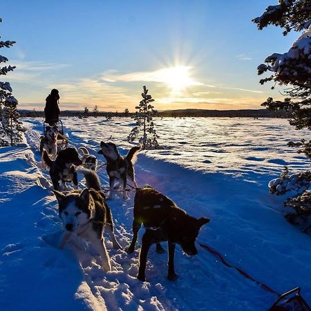 Birk Bed & Birds Bed & Breakfast Svanvik ภายนอก รูปภาพ
