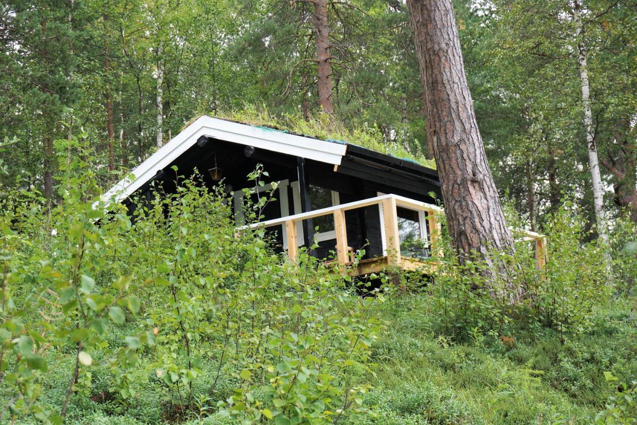 Birk Bed & Birds Bed & Breakfast Svanvik ภายนอก รูปภาพ