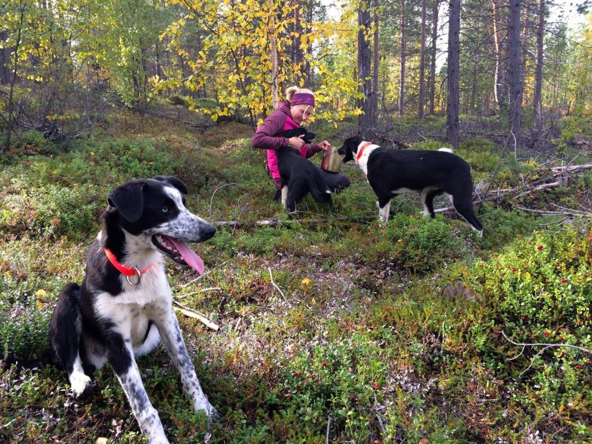 Birk Bed & Birds Bed & Breakfast Svanvik ภายนอก รูปภาพ