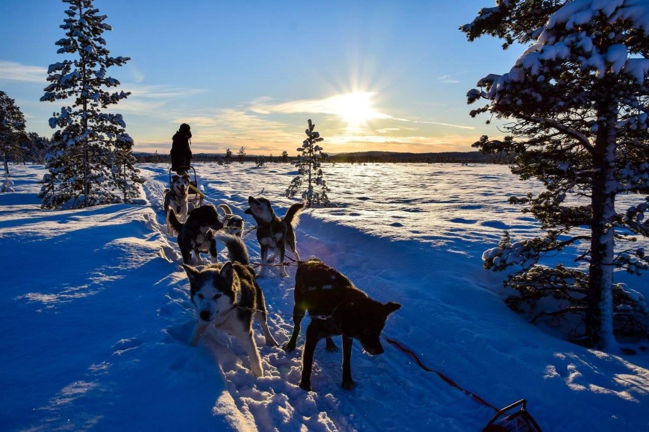 Birk Bed & Birds Bed & Breakfast Svanvik ภายนอก รูปภาพ