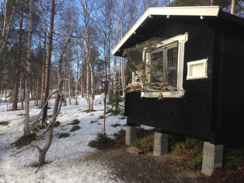 Birk Bed & Birds Bed & Breakfast Svanvik ภายนอก รูปภาพ
