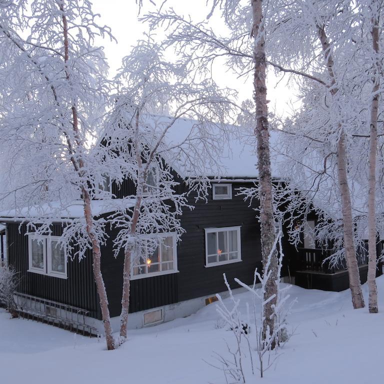 Birk Bed & Birds Bed & Breakfast Svanvik ภายนอก รูปภาพ