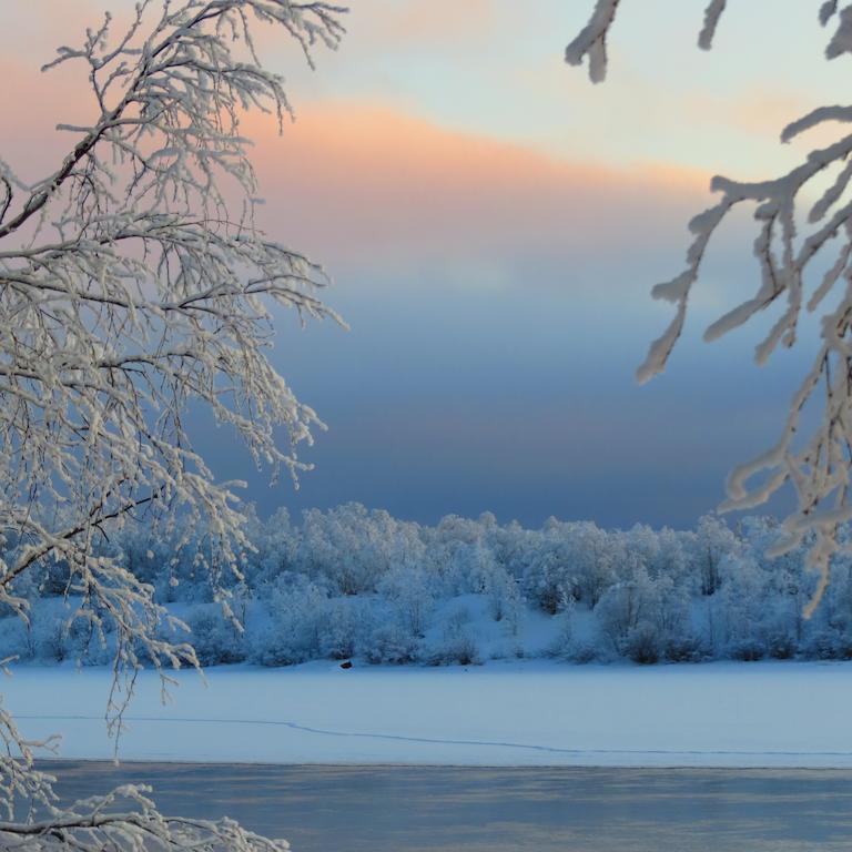 Birk Bed & Birds Bed & Breakfast Svanvik ห้อง รูปภาพ