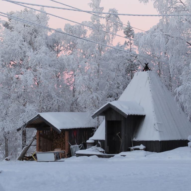 Birk Bed & Birds Bed & Breakfast Svanvik ภายนอก รูปภาพ