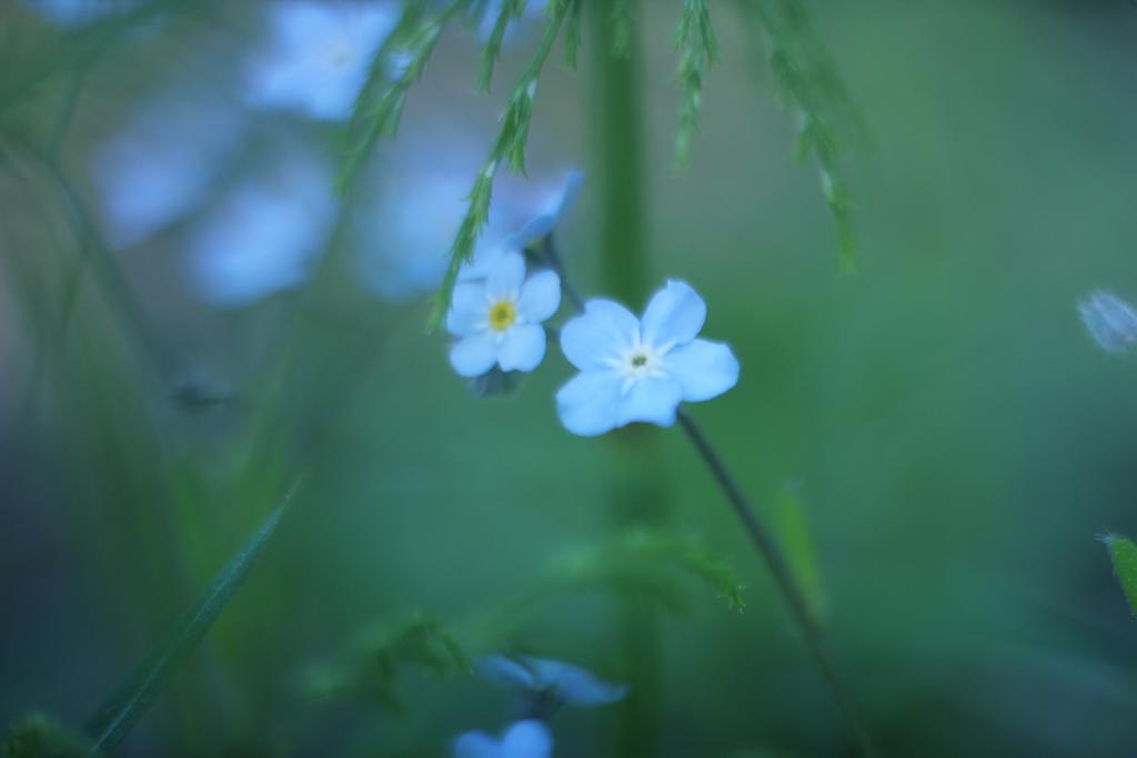 Birk Bed & Birds Bed & Breakfast Svanvik ภายนอก รูปภาพ