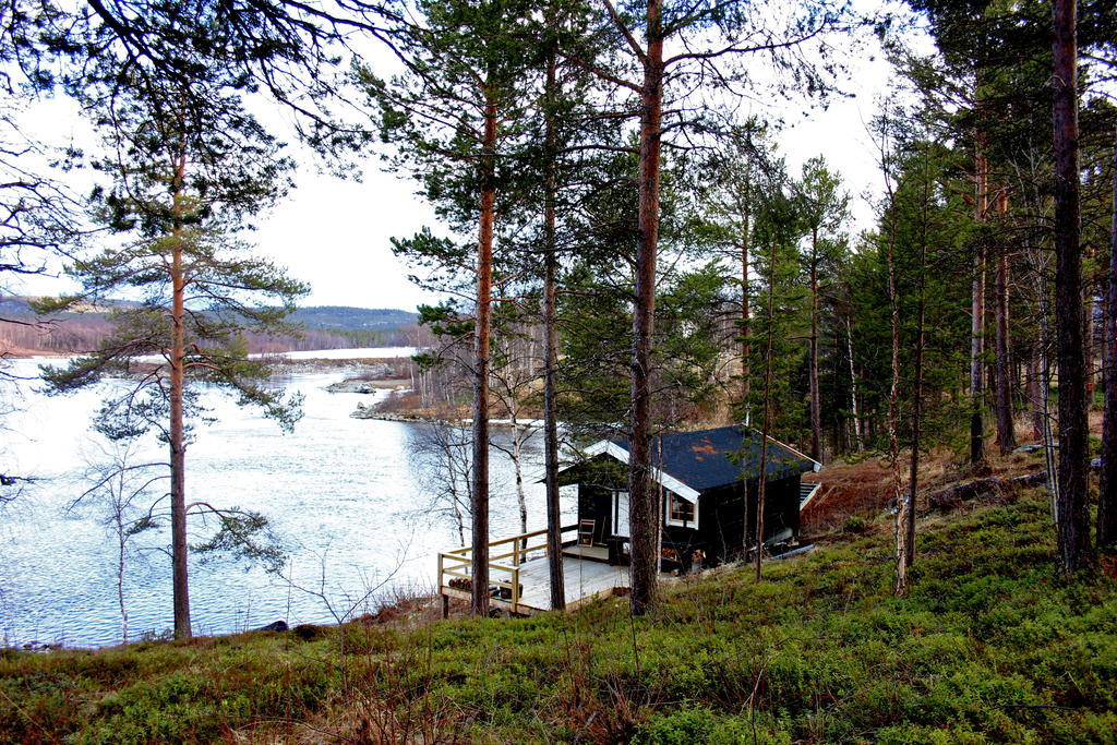 Birk Bed & Birds Bed & Breakfast Svanvik ภายนอก รูปภาพ