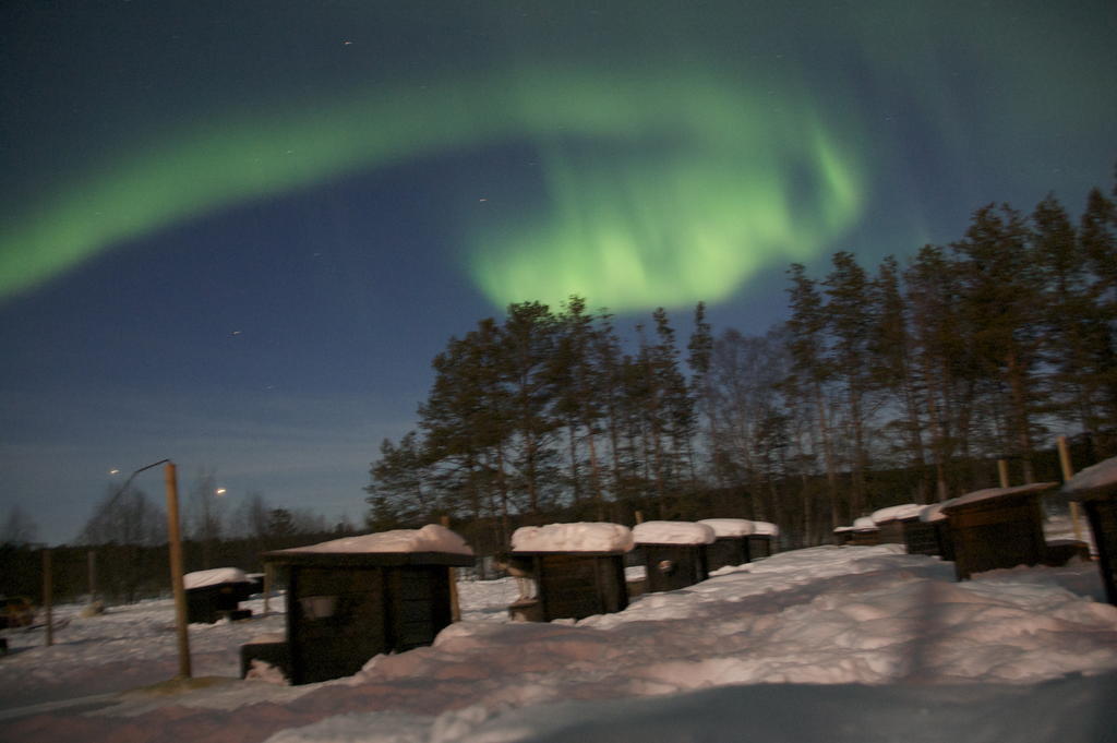 Birk Bed & Birds Bed & Breakfast Svanvik ภายนอก รูปภาพ