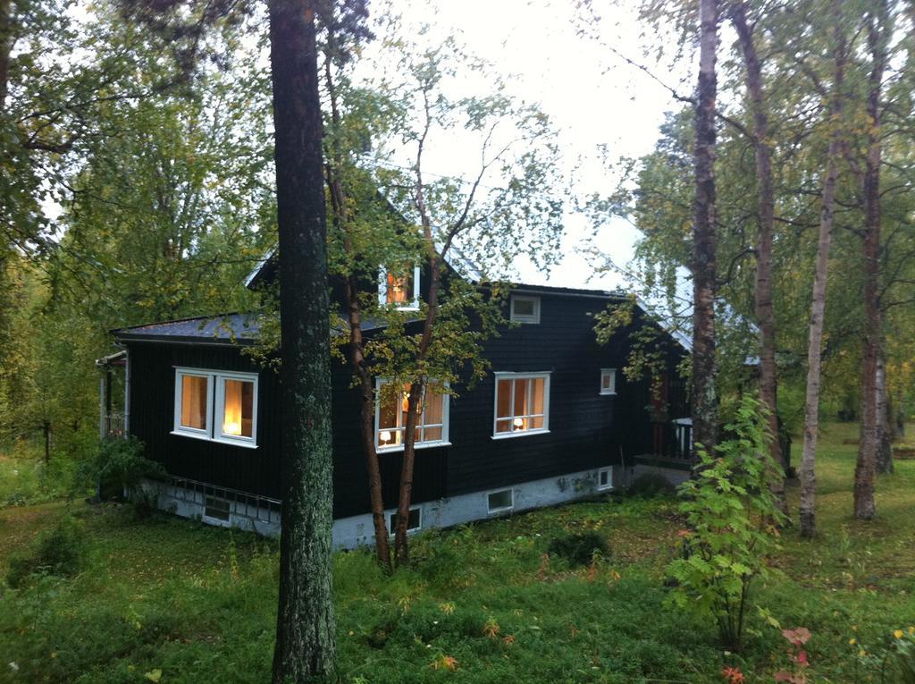 Birk Bed & Birds Bed & Breakfast Svanvik ห้อง รูปภาพ